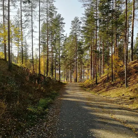 Feels Like Taulumaki * Jyväskylä